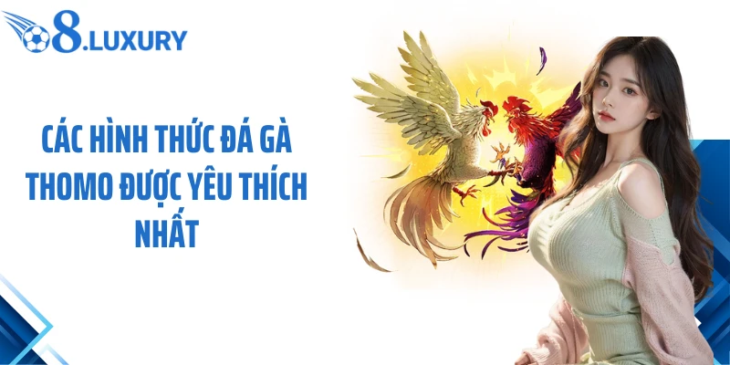 Các hình thức đá gà Thomo được yêu thích nhất